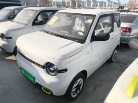 吉利银河 熊猫 2025款 210km 元气熊