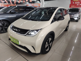 比亚迪 海豚 2023款 420km 时尚版