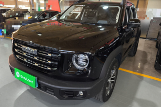 哈弗大狗 2022款 1.5T DCT两驱边牧版