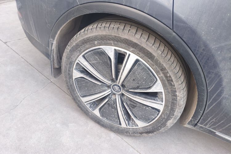 比亚迪 唐新能源 2022款 DM-p 215KM 四驱旗舰型车身外观6008