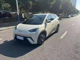 比亚迪 海鸥 2025款 305km 活力版