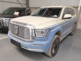 坦克500新能源 2024款 Hi4-T