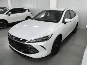 比亚迪 秦PLUS 2025款 DM-i 智驾版 128KM进取型