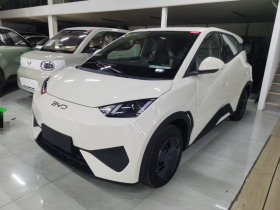 比亚迪 海鸥 2025款 智驾版 305km 活力版