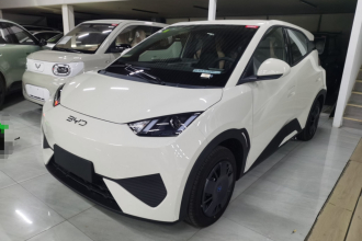 比亚迪 海鸥 2025款 智驾版 305km 活力版