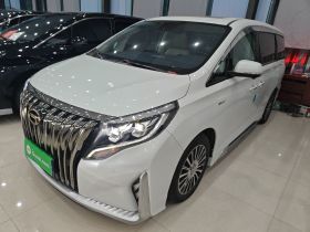 广汽传祺 传祺M8 2021款 大师系列 390T 四座御尊版