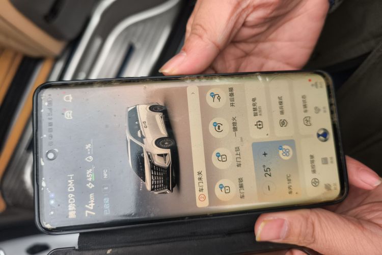 腾势D9 2022款 DM-i 1040 尊贵型中控内饰7001