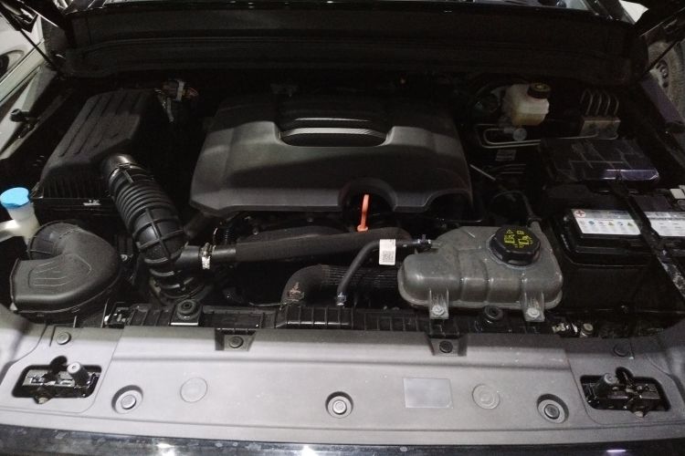 坦克300 2024款 2.0T 征服者机舱底盘24