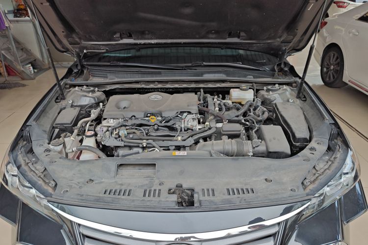 丰田 亚洲龙 2019款 双擎 2.5L XLE尊贵版 国VI局部细节24