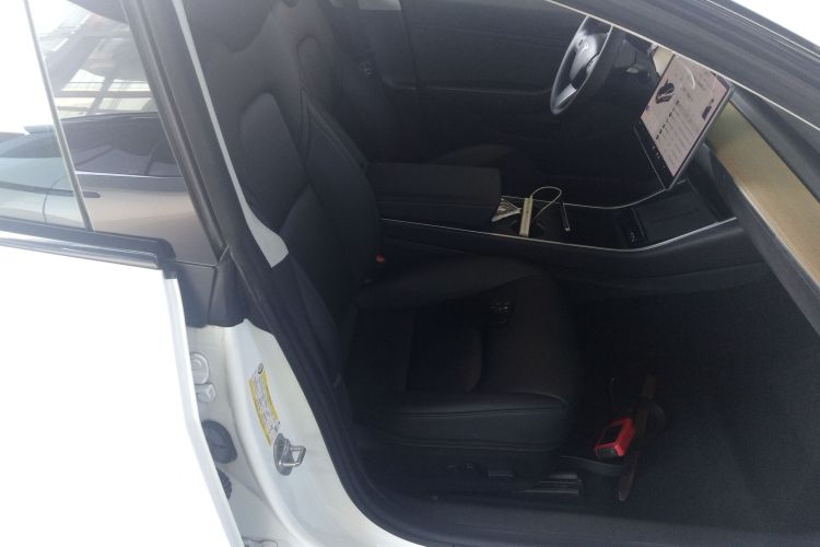 特斯拉 Model 3(进口) 2019款 长续航全轮驱动版局部细节41