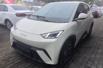 比亚迪 海鸥 2025款 305km 自由版