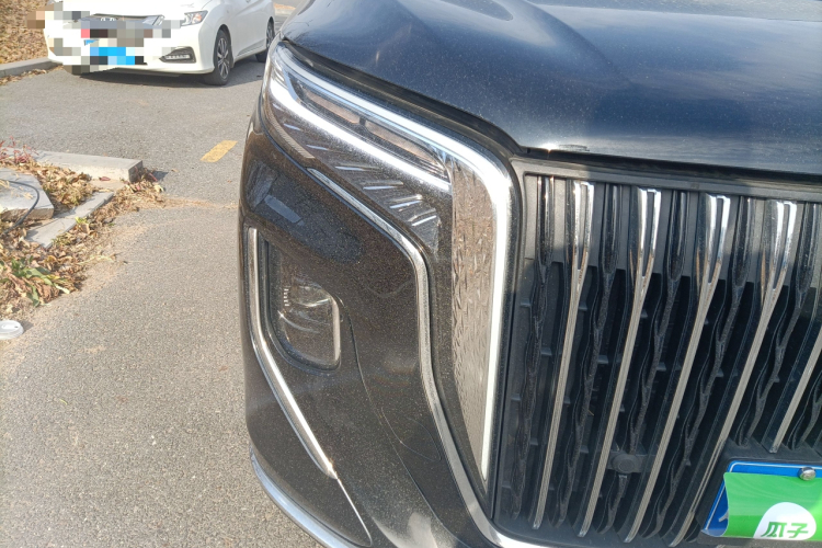 红旗HQ9 2023款 2.0T 智联旗韵版车身外观8