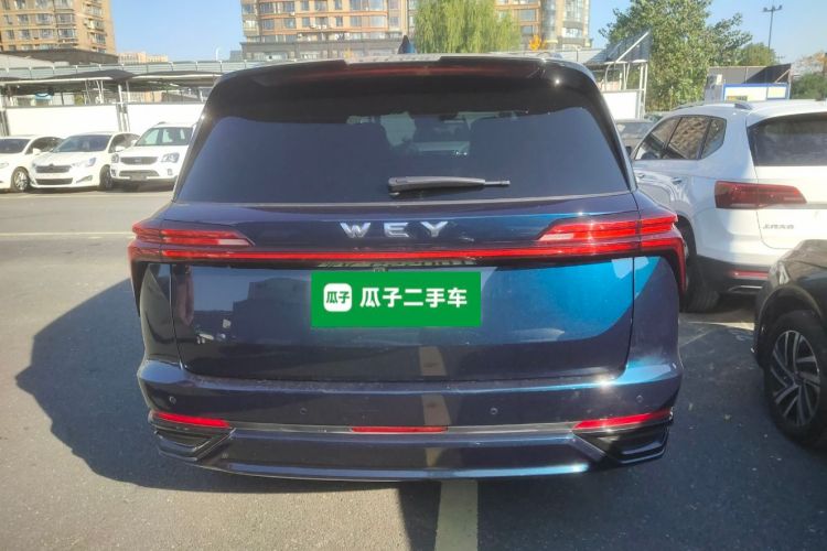 魏牌 蓝山 2023款 四驱超长续航版车身外观6