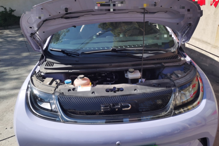 比亚迪 海豚 2024款 荣耀版 420km 自由版局部细节24