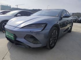 比亚迪 海豹 2023款 冠军版 550km 精英型