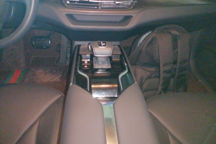 红旗E-QM5 2021款 网约充电 基础版 5座局部细节18