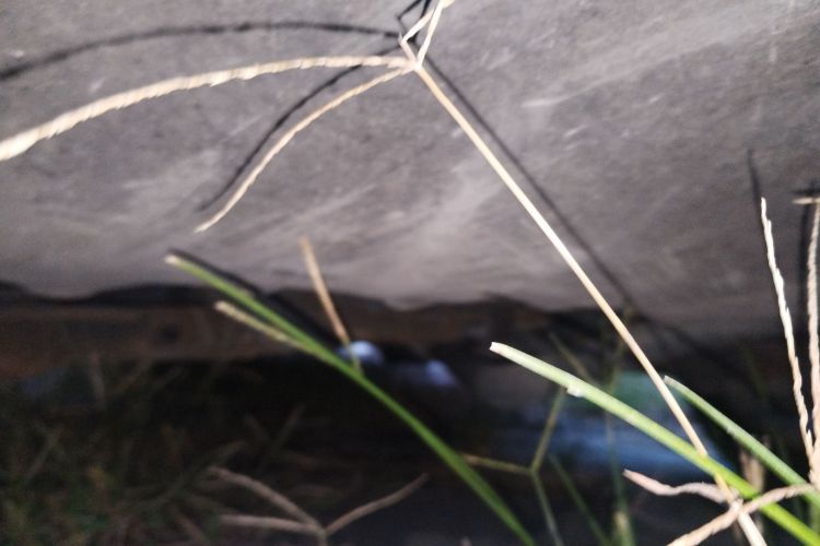 长安CS75 2016款 2.0L 手动豪华型 国V局部细节9009