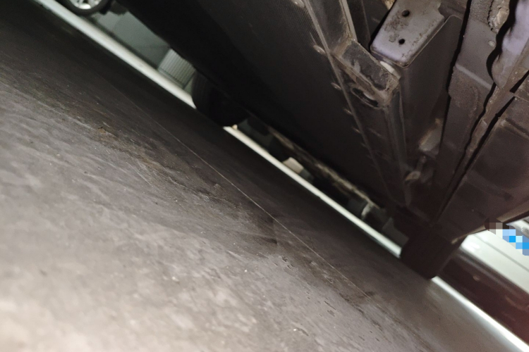 比亚迪 海豚 2023款 420km 自由版局部细节9002