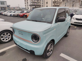 吉利银河 2023款 熊猫mini 200km 灵动熊
