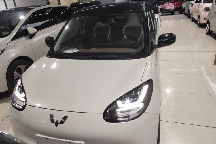 五菱汽车 五菱缤果 2023款 333km 灵犀互联款车身外观6001