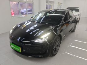 特斯拉 Model 3 2021款 标准续航后驱升级版 3D6