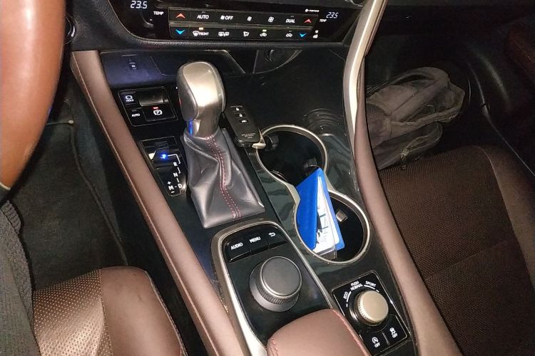 雷克萨斯RX 2016款 300 四驱典雅版 国VI局部细节18