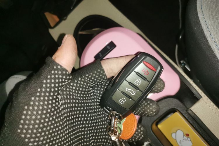 欧拉黑猫 2021款 301km 基础型中控内饰7001