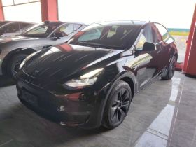 特斯拉 Model Y 2023款 长续航全轮驱动版