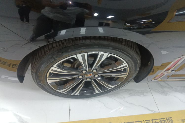 红旗H9 2024款 2.0T 旗畅 私享风尚版车身外观6007