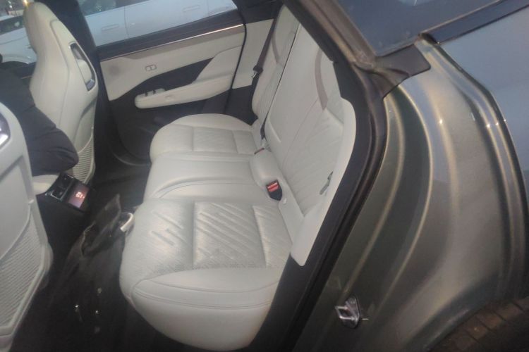 极氪001 2025款 WE版 95kWh 四驱中控内饰7004