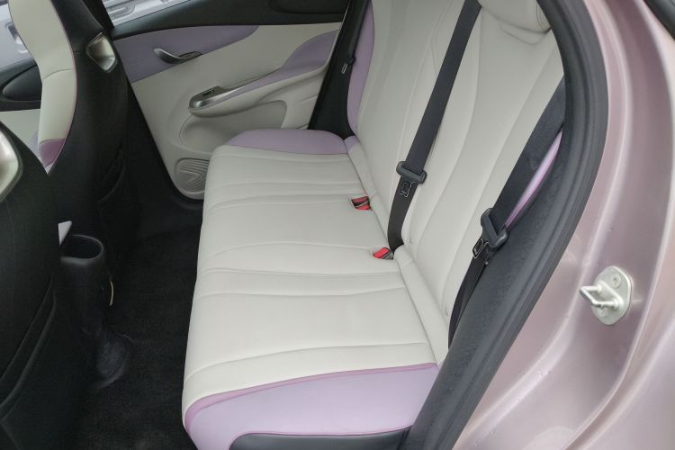 比亚迪 海豚 2021款 405km 时尚版中控内饰7004