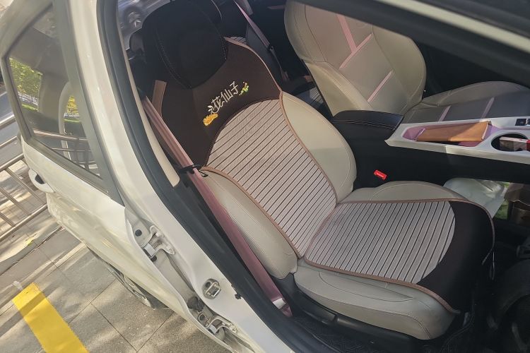 思皓 2022款 花仙子款 四叶草局部细节41