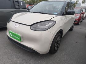 五菱汽车 五菱缤果 2024款 333km 灵犀互联款