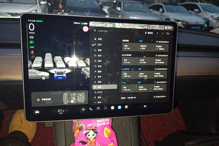 特斯拉 Model 3 2021款 标准续航后驱升级版局部细节14