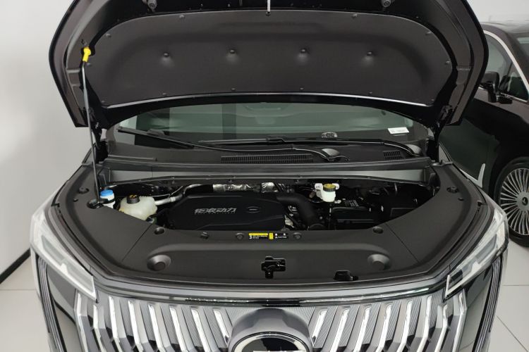 广汽传祺 传祺M8 2024款 大师系列 400T 尊贵版局部细节24