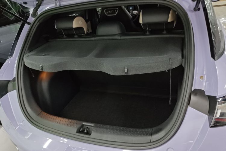 比亚迪 海豚 2023款 420km 自由版机舱底盘23