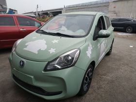 长安欧尚 奔奔E-Star 2021款 国民版 心悦版 磷酸铁锂（31.18kWh）