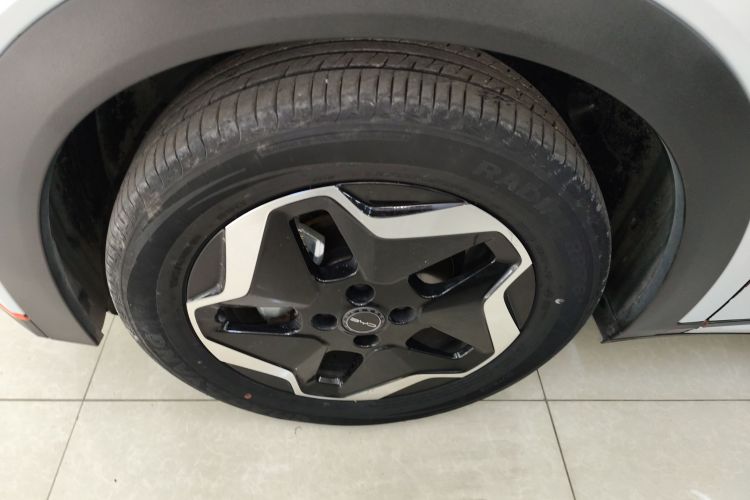 比亚迪 海豚 2021款 405km 自由版车身外观6007