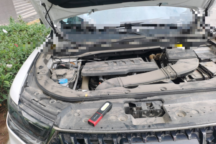 哈弗H6 2023款 国潮版 1.5T 自动冠军版局部细节9006