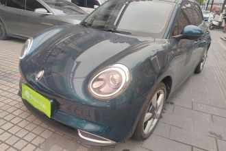 欧拉好猫 2021款 400km标准续航 维纳斯版 磷酸铁锂