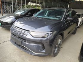 零跑汽车 零跑C11 2024款 增程 300尊享版