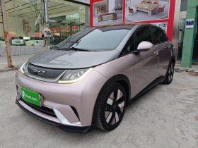 比亚迪 海豚 2021款 401km 骑士版