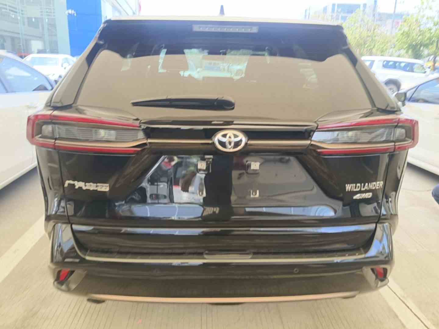 丰田 威兰达 2024款 2.0L CVT两驱都市版(3)