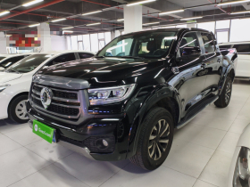 长城 炮 2024款 2.4T乘用版自动柴油两驱舒适型