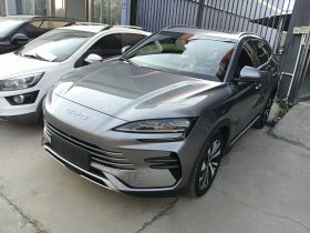 比亚迪 宋PLUS新能源 2023款 冠军版 DM-i 110KM 旗舰型