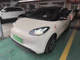 五菱汽车 五菱缤果 2025款 333km 悦享款