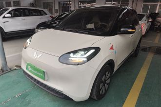 五菱汽车 五菱缤果 2025款 333km 悦享款