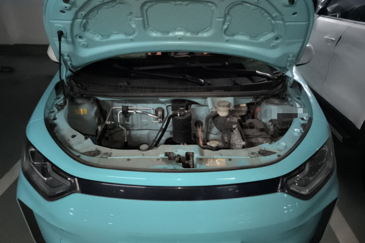 思皓 花仙子 2021款 302km 豪华型 31.4kWh局部细节24