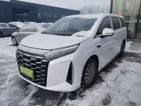 比亚迪 夏 2025款 DM-i 1.5T 100km 领先型