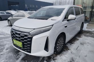 比亚迪 夏 2025款 DM-i 1.5T 100km 领先型